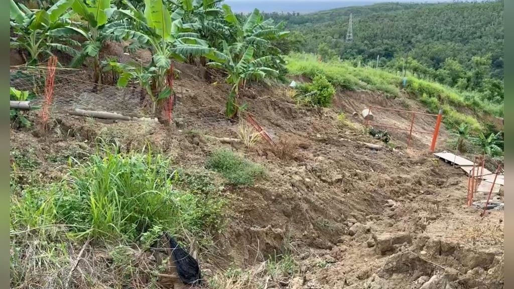 豪雨釀台東香蕉園「整片滑落山腳」！　蕉農全年心血沒了
