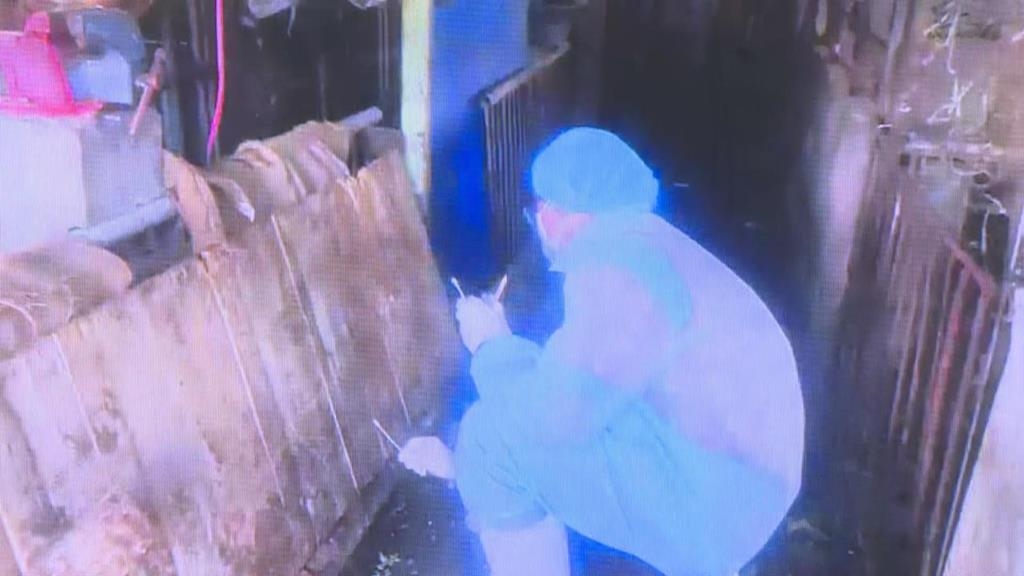 台中非洲豬瘟案例場照片曝　杜文珍籲：做好清潔消毒才會有成效