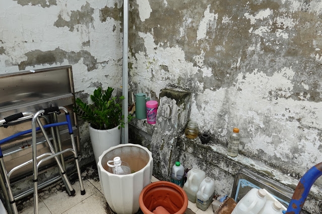 快新聞/台中獸魂碑傳消失! 非洲豬瘟緊跟著出現?