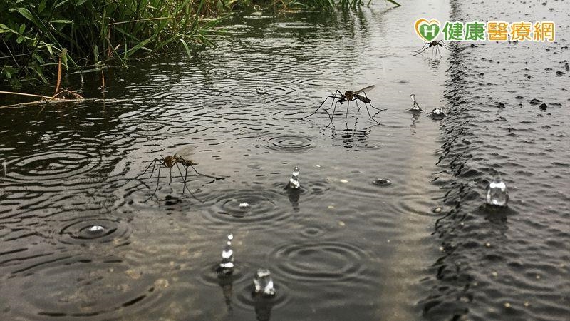 雨後清理家園防傳染病　疾管署籲：防疫三保「裝備、飲食、清潔」