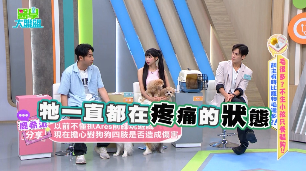 鹿希派《醫學大聯盟》曝寵物慢性疼痛警訊!近八成貓關節問題恐遭忽視