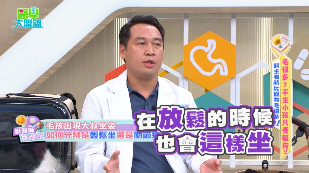 鹿希派《醫學大聯盟》曝寵物慢性疼痛警訊!近八成貓關節問題恐遭忽視