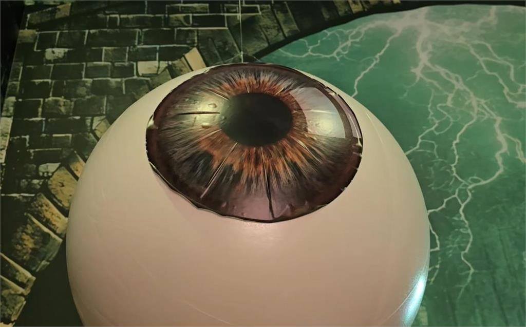 竹北遠東百貨萬聖裝飾「太逼真」！　小孩嚇哭遭家長投訴