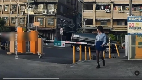 高雄女「遭公雞追」急逃上車 直呼:太不講武德了