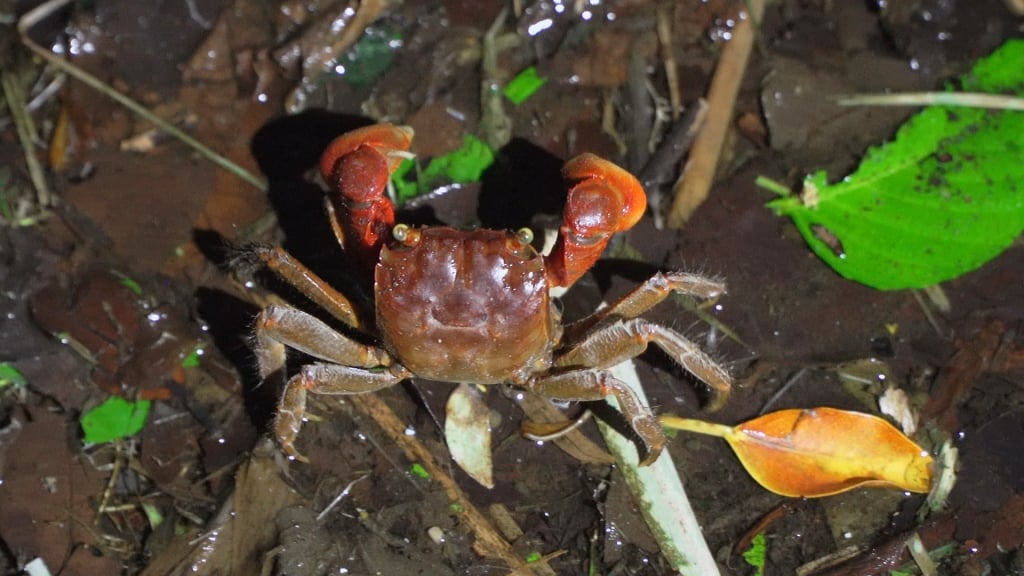 《部落抓風味2-里山心旅程》 深入社區部落看臺灣最美風景