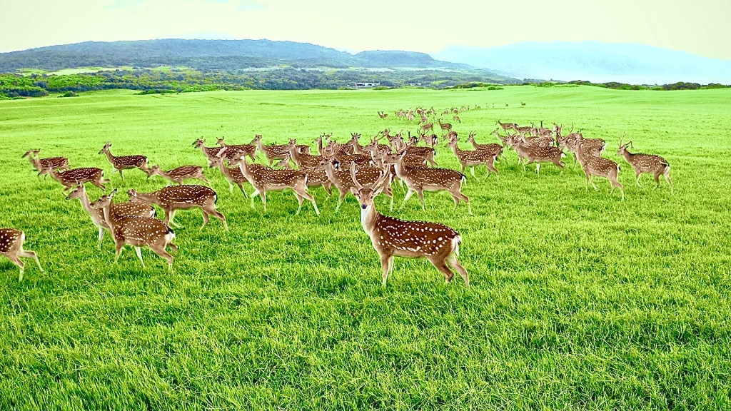 《部落抓風味2-里山心旅程》 深入社區部落看臺灣最美風景