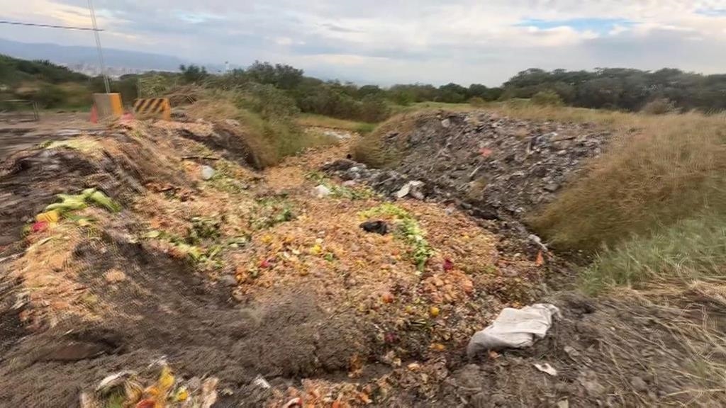 永久禁廚餘養豬？　　陳駿季：只要處理好就是很好的飼料