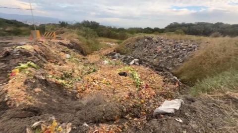 永久禁廚餘養豬？　　陳駿季：只要處理好就是很好的飼料