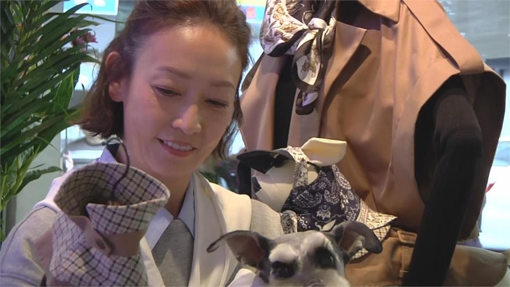 全新「人寵精品空間二代店」擴大服務　滿足毛小孩各面向需求