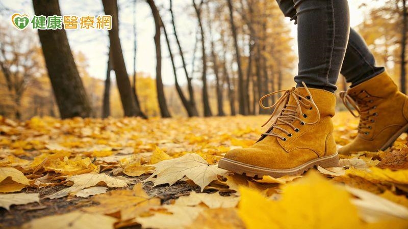 散步能養大腦？10年追蹤研究：長期步行者反應更快　認知功能更清晰