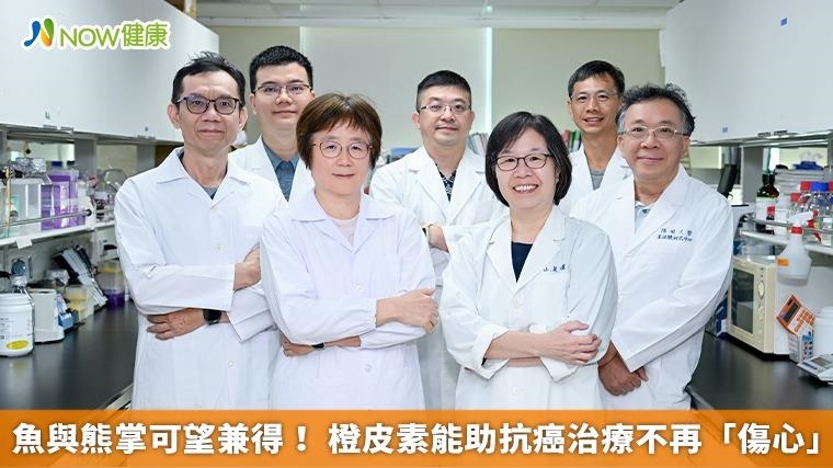 魚與熊掌可望兼得！ 橙皮素能助抗癌治療不再「傷心」