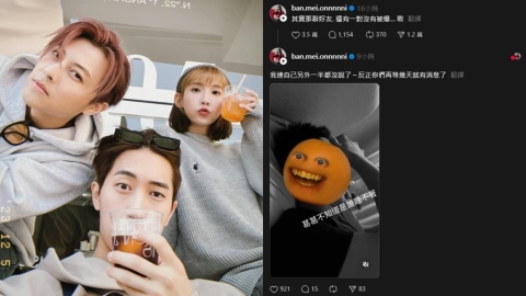 偷吃的不只王子、粿粿!天后闆妹驚曝「還有一對沒爆」15字揭暗黑內幕