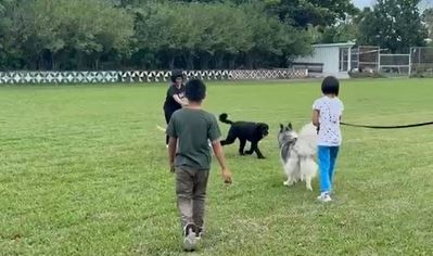 台東卑南兒童之家「寵物治療課」 讓孩童在互動中舒緩情緒