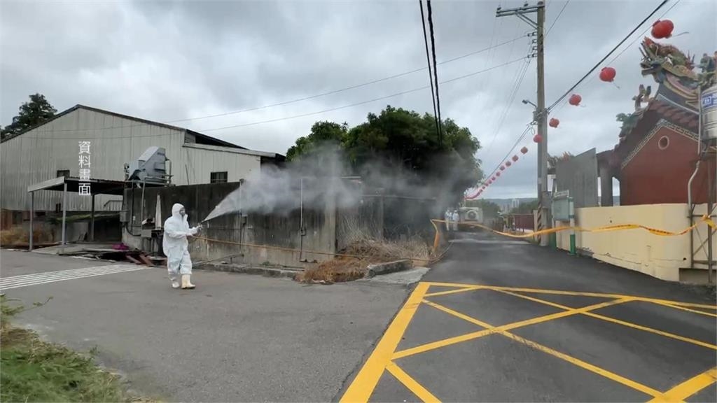 解禁有望！若11/6前未增豬瘟個案　「這天」解除禁運、宰令