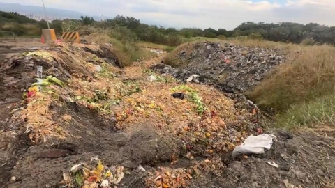 解禁有望！若11/6前未增豬瘟個案　「這天」解除禁運、宰令