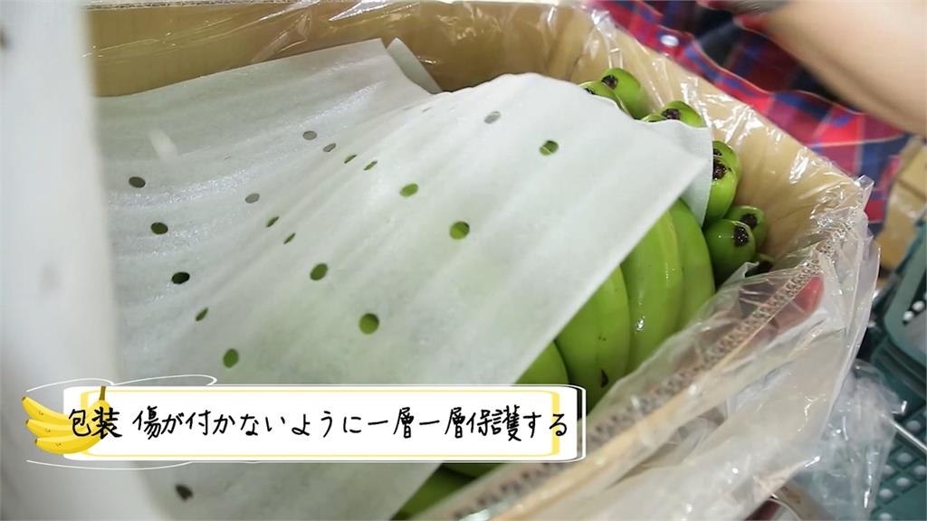 連7年供應台灣優質水果給日本茨城縣　農業部：台灣水果要擴大出口日本