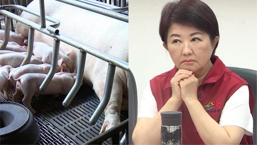 誰下令的？中市府「偷偷清消」害無法採樣　台中綠議員嗆：疫情豬隊友