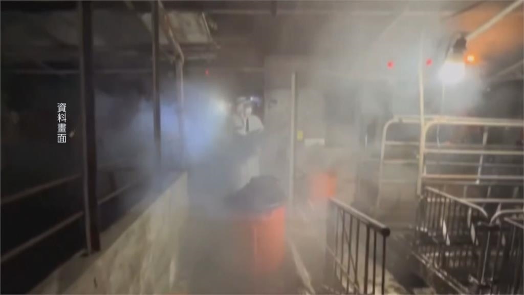 動保處人員"私自進入豬瘟案場清消" 台中市府:嚴格處分