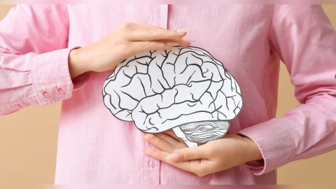 腦力時代:九大關鍵元素守護你的思考力