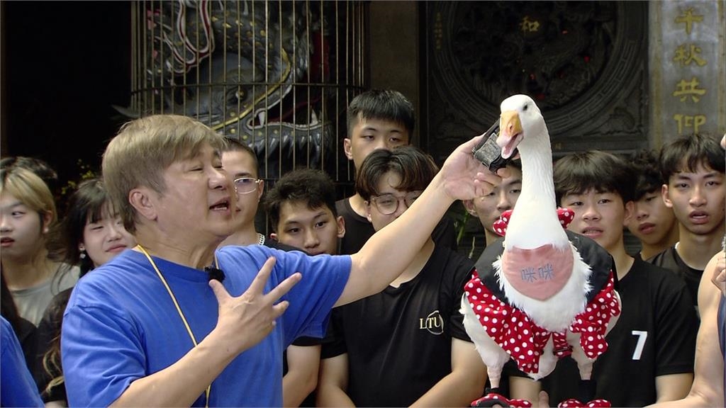 錄影遭闖入!胡瓜問「你最喜歡誰?」鵝竟回:「呱呱」全場笑翻