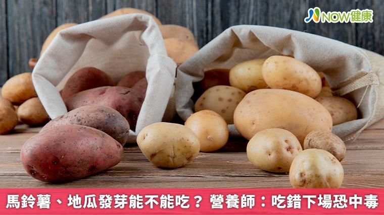馬鈴薯、地瓜發芽能不能吃？ 營養師：吃錯下場恐中毒