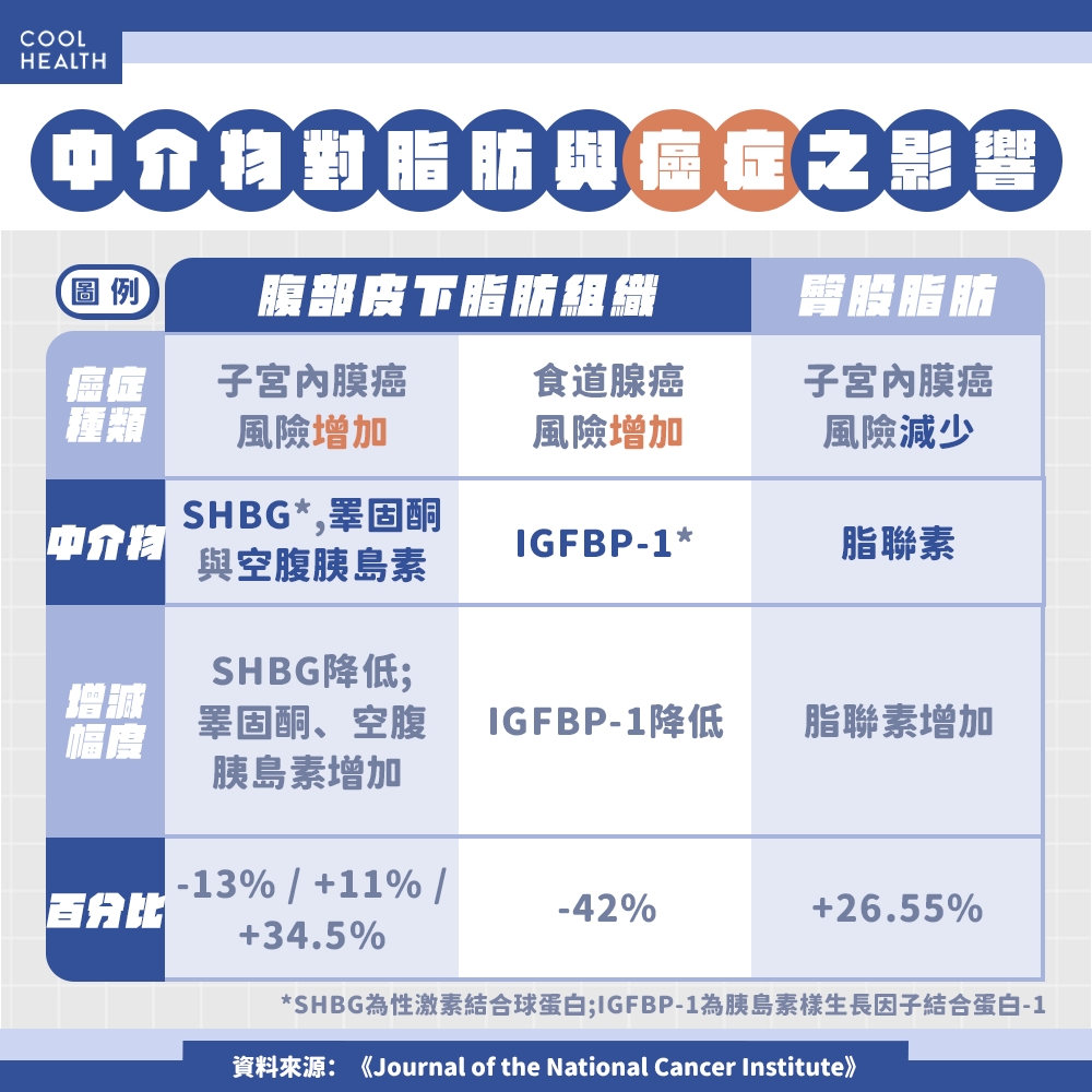 脂肪分布為何能預測癌症？ 中介物扮演關鍵作用