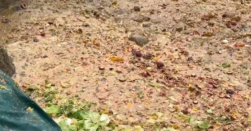 台中廚餘全進焚化廠! 議員要求中市府監測空品