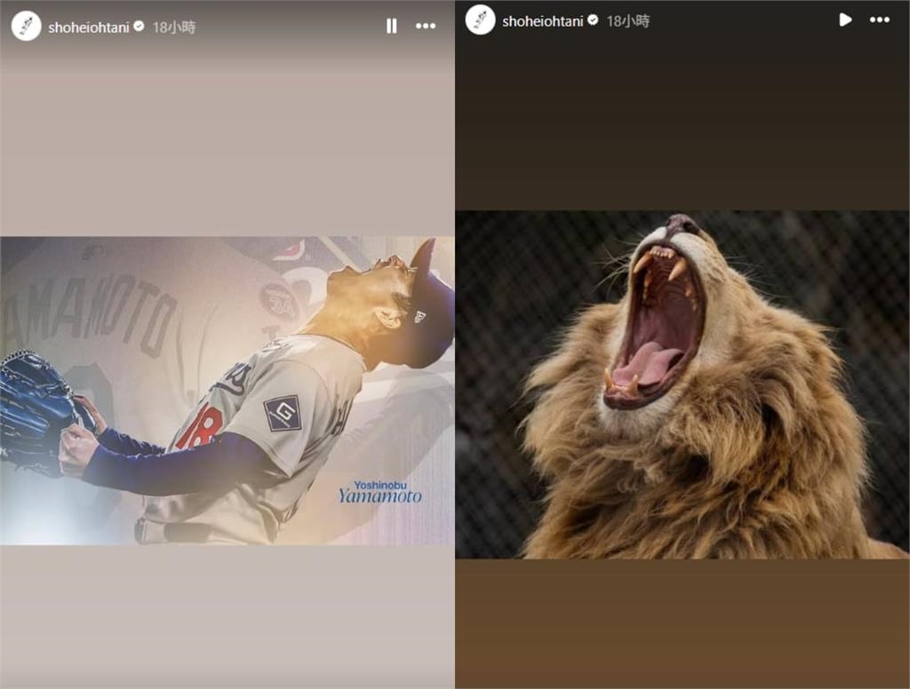 MLB／從辛巴變獅子王！山本由伸奪冠怒吼、在大谷眼中進化成「拴不住的猛獸」