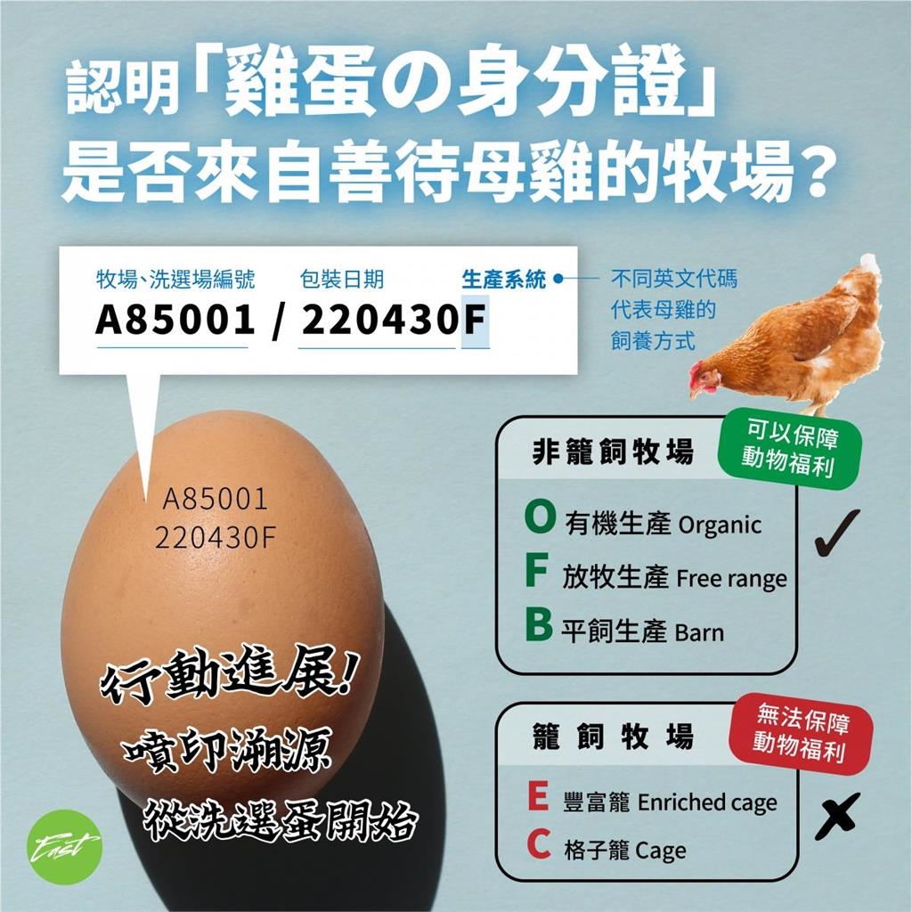 「人道動福蛋」竟出現籠飼E代碼!購蛋陷阱掀討論網氣炸:根本一堆亂放的