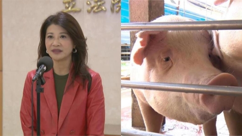 痛批台中市府怠惰釀災　林楚茵：造成非洲豬瘟破口「主嫌」是盧秀燕