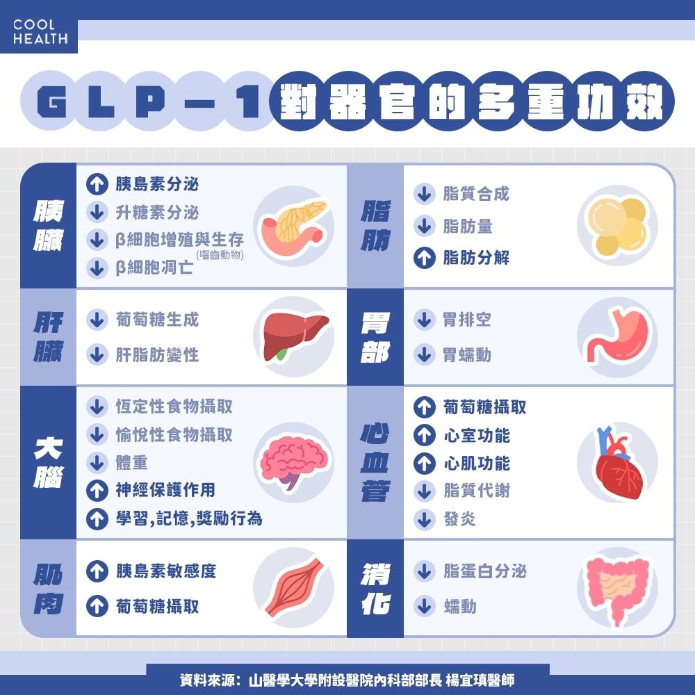 8成糖尿病合併肥胖問題  醫示警「死亡風險提升逾2倍」 