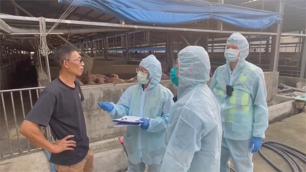 羅智強稱屏東廚餘養豬場稽查率僅7％　縣府、豬農駁斥