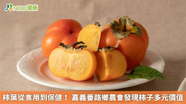 柿葉從食用到保健！ 嘉義番路鄉農會發現柿子多元價值