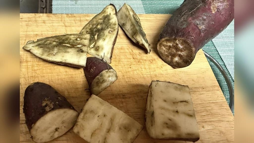 請支援輸贏？全聯買地瓜「切開全遭病蟲害」　高嘉瑜怒轟：太差勁