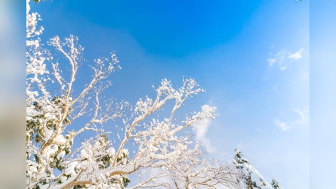 立冬最強開運一次看!6大禁忌不可錯過!「補冬」補氣補血補運勢!
