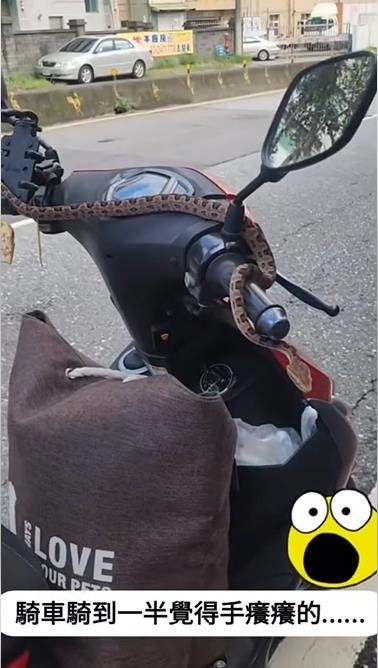 「小龜」從天而降驚悚畫面曝光！網嚇爛喊：機車騎士竟淡定立中柱