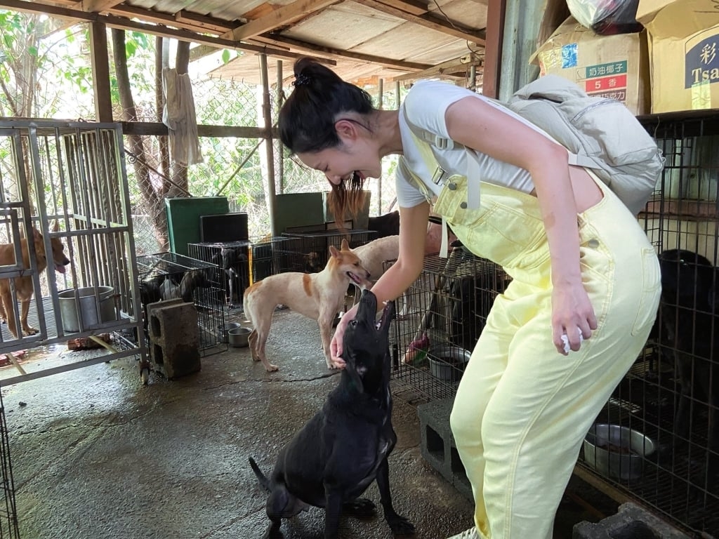 韓雨潔《姊妹亮起來》淚訴南部狗園慘況!籲全網捐飼料、做志工幫浪浪