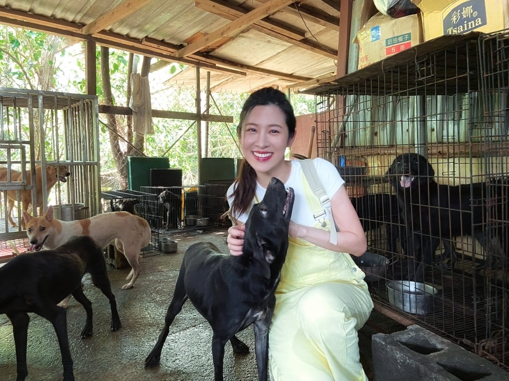 韓雨潔《姊妹亮起來》淚訴南部狗園慘況!籲全網捐飼料、做志工幫浪浪
