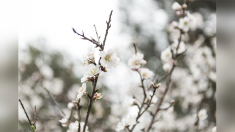 立冬6大禁忌一次看!3星座恐破財傷身 專家曝開運重點