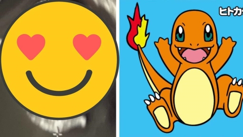 超音波產檢照驚見「小火龍」身影　親媽笑稱：我要養一隻寶可夢了！