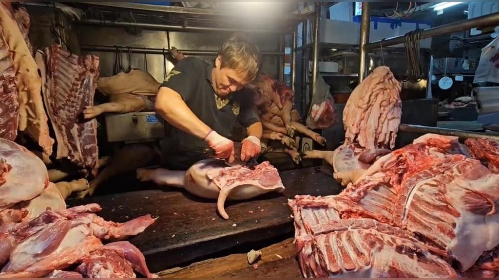 溫體豬回歸！基隆攤商叫足豬量　怕民眾搶購忙備貨