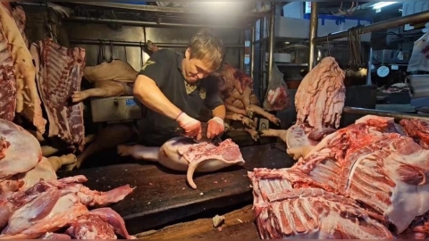 溫體豬回歸!基隆攤商叫足豬量 怕民眾搶購忙備貨