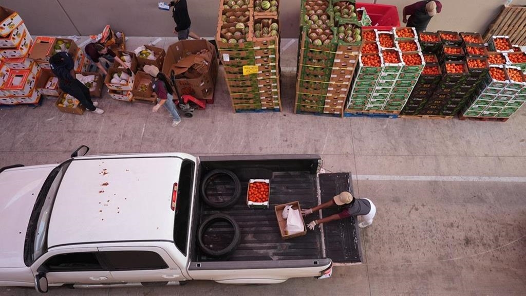 危機曙光？法院下令川普政府「全額支付」糧食券費用　農業部：遵守但上訴