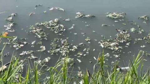 西螺大排赫見"垃圾漂漂河" 雲林縣環保局開4罰單