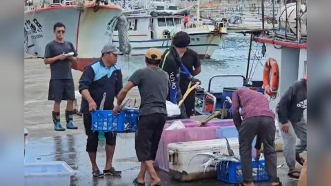 "鳳凰"逐步接近台灣 基隆漁民進港急卸貨防颱