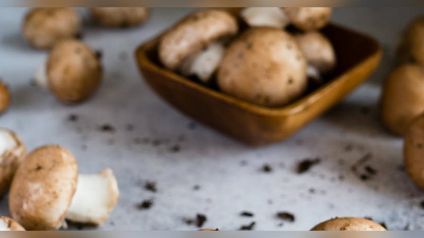 台北旅館「浴缸旁長香菇」一晚3千　 DJ傻眼：廢到笑出來