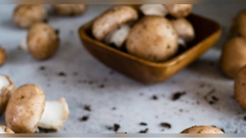 台北旅館「浴缸旁長香菇」一晚3千　 DJ傻眼：廢到笑出來