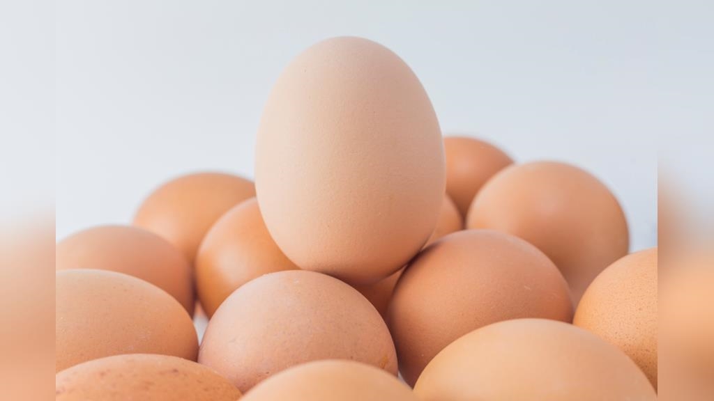芬普尼殘留超標！9款市售雞蛋緊急下架回收