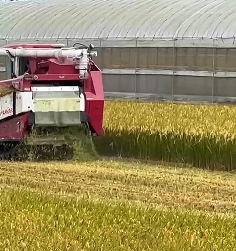 彰化15萬顆雞蛋芬普尼超標　排除案場污染！將朝「這方向」追查