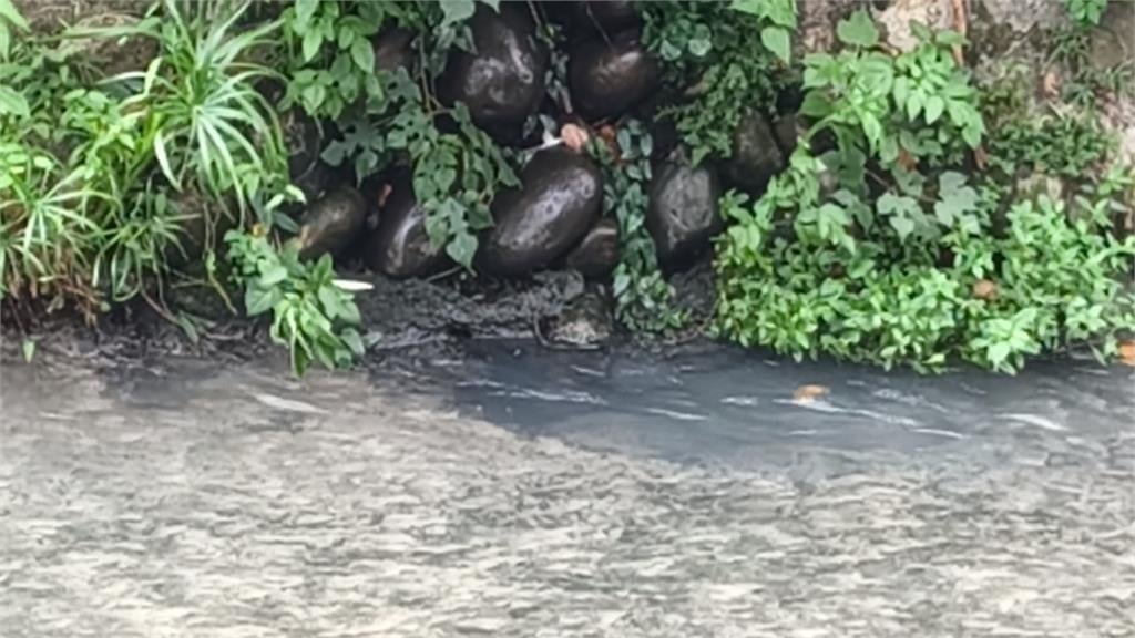 台中梅川排水孔驚見黑色惡臭廢水　　網酸「盧媽臭臭鍋」